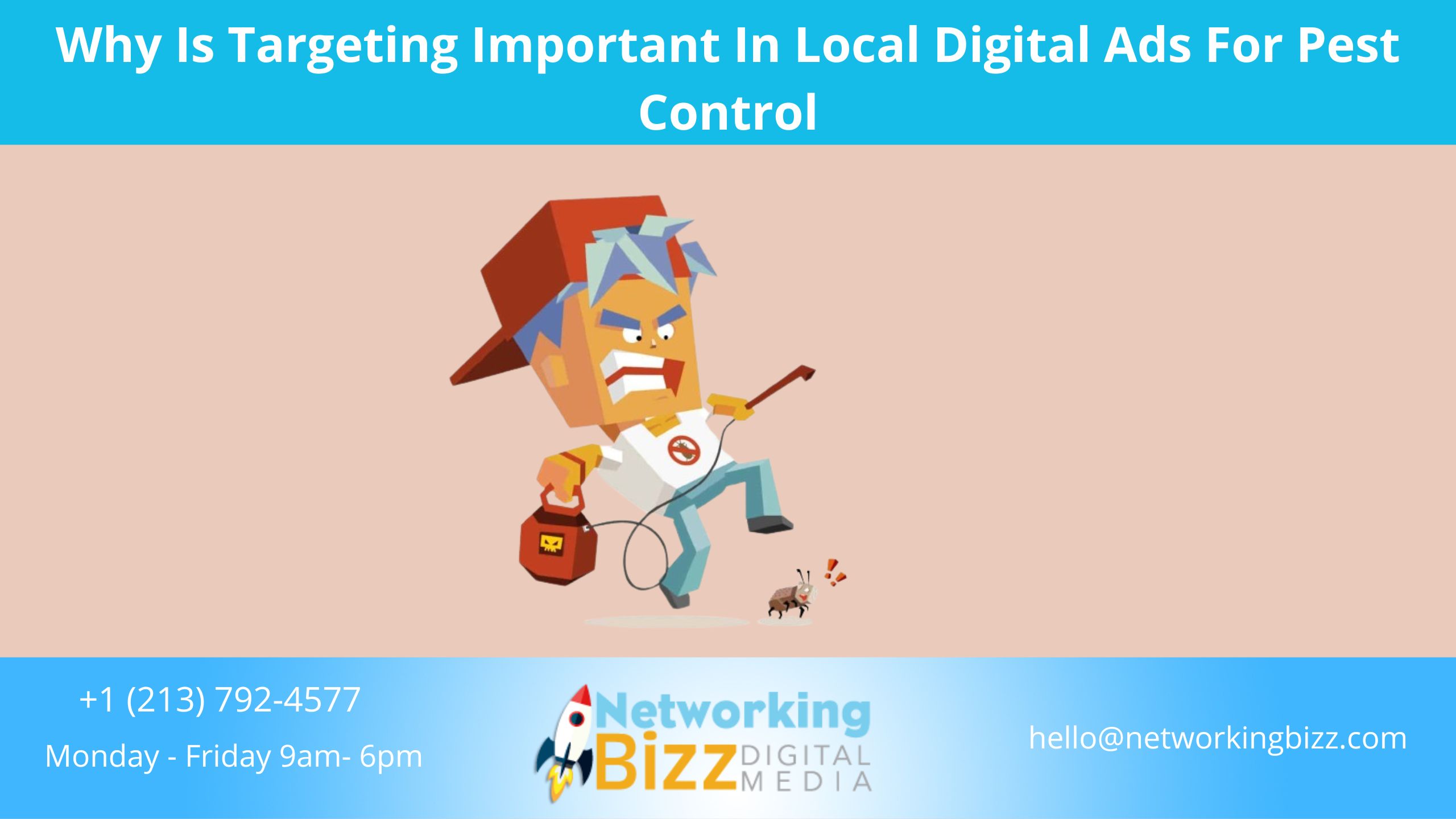 Why Is Targeting Important In Local Digital Ads For Pest Control