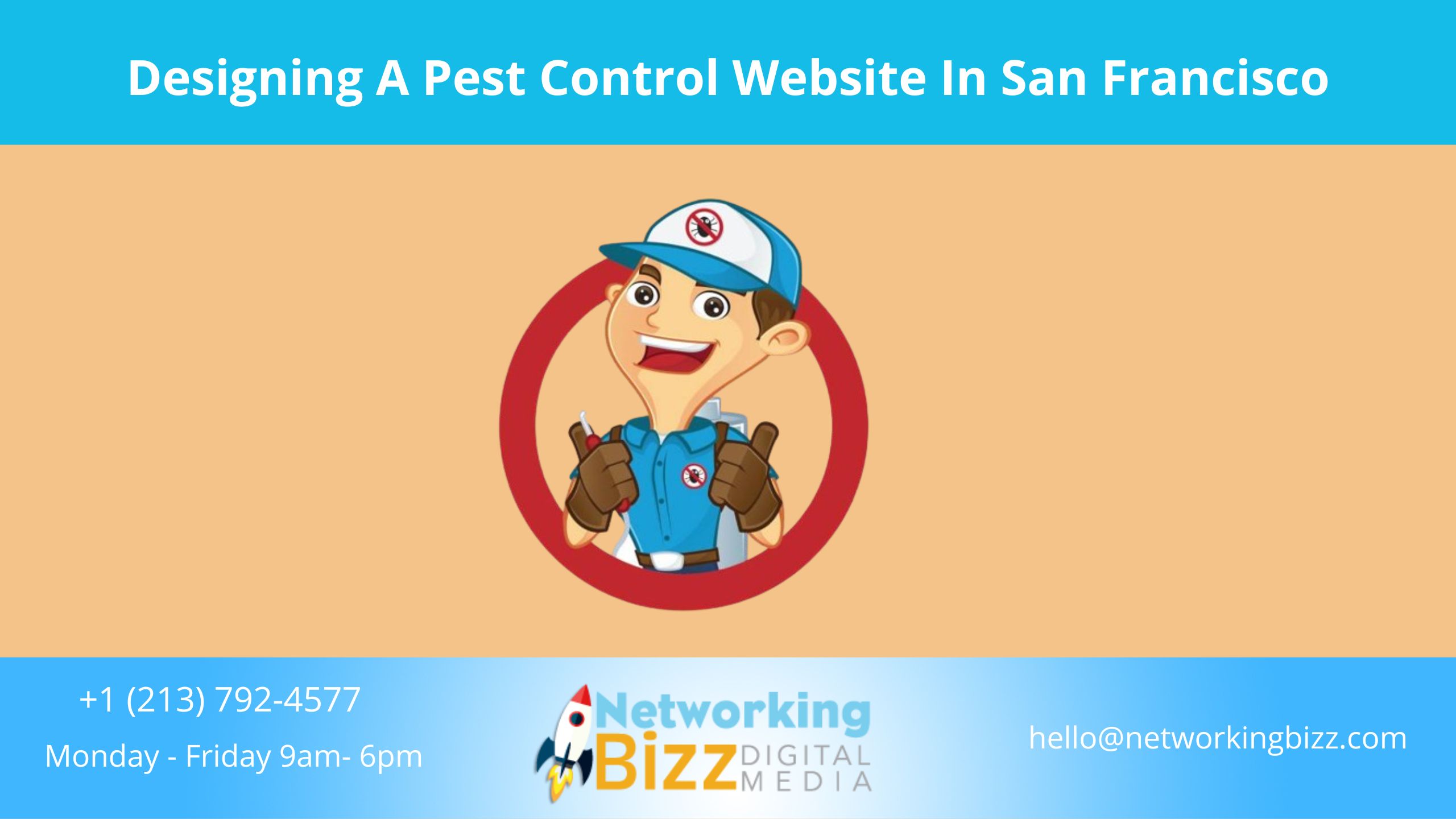 Designing A Pest Control Website In San Francisco