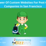 The Power Of Custom Websites For Pest Control Companies In San Francisco 