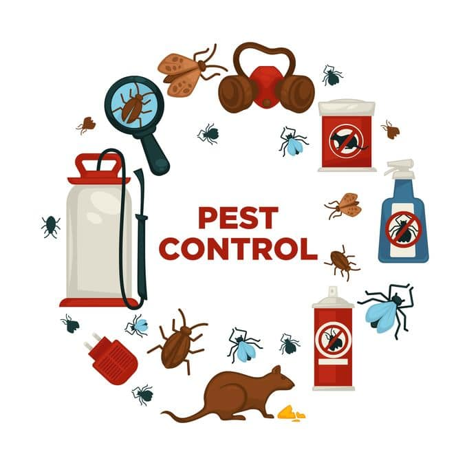 Pest Control